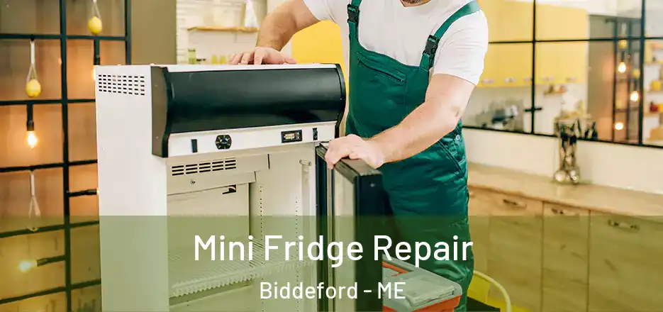  Mini Fridge Repair Biddeford - ME